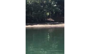VENDO 14 HECTAREAS EN BAHIA HONDA