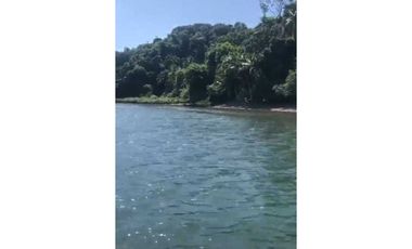 VENDO 14 HECTAREAS EN BAHIA HONDA