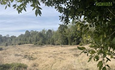 Agrícola en Venta en Ruta 5 cruce Maullin