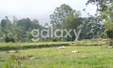 TANAH BURUAN PENATAHAN PENEBEL TABANAN, BALI