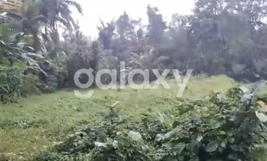 TANAH BURUAN PENATAHAN PENEBEL TABANAN, BALI