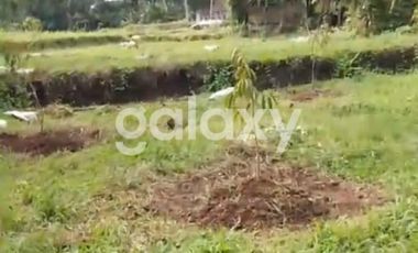 TANAH BURUAN PENATAHAN PENEBEL TABANAN, BALI