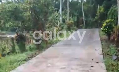 TANAH BURUAN PENATAHAN PENEBEL TABANAN, BALI