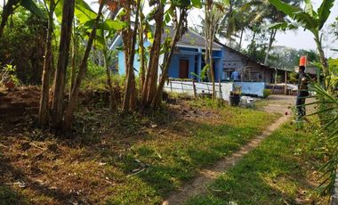 Termurah Rumah Sendangsari Minggir Pling murah msh bsa Nego