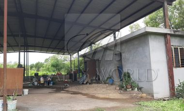 Terrenos en Renta en Los Sabinos