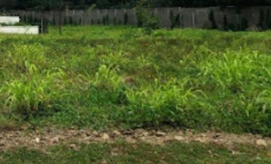 Vacant Lot in Alabang West for Sale