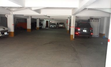 Palmeras IX Nº 14