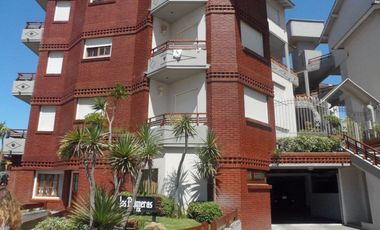 Palmeras IX Nº 14