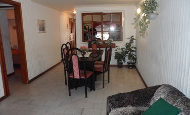 Palmeras IX Nº 14