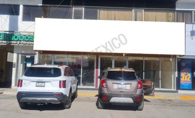 Locales Comerciales Planta Baja En La Mejor Zona del Boulevard Independencia