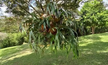 finca en venta en km 12 la evira. Cod V15260