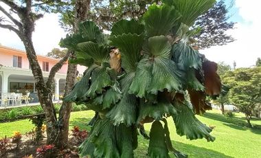 finca en venta en km 12 la evira. Cod V15260