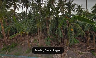 1.9-Hectare Industrial Land in Panabo City | IP 004