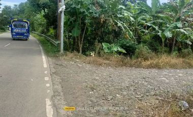 Tanah Pinggir Jalan Raya Ciruas Petir Di Walantaka
