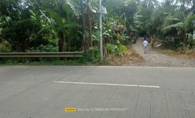 Tanah Pinggir Jalan Raya Ciruas Petir Di Walantaka
