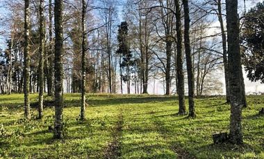 Parcela en Venta en -41.336----,-73.430----