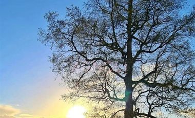 Parcela en Venta en -41.336----,-73.430----