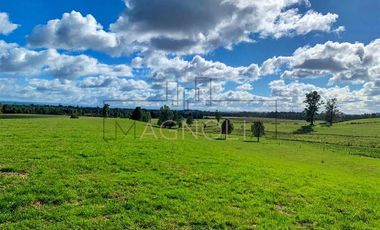 Parcela en Venta en -41.336----,-73.430----