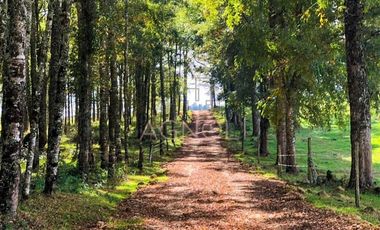 Parcela en Venta en -41.336----,-73.430----