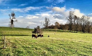 Parcela en Venta en -41.336----,-73.430----