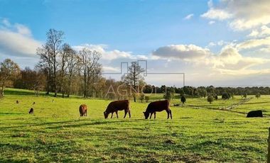 Parcela en Venta en -41.336----,-73.430----