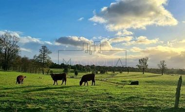 Parcela en Venta en -41.336----,-73.430----