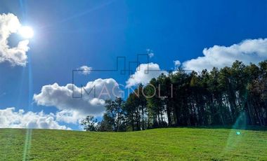 Parcela en Venta en -41.336----,-73.430----