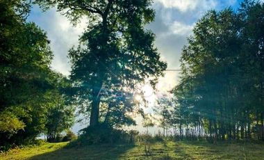 Parcela en Venta en -41.336----,-73.430----