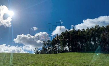 Parcela en Venta en -41.336----,-73.430----