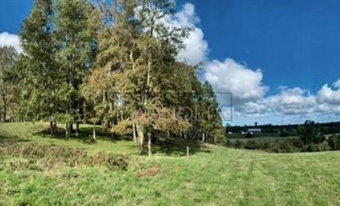 Parcela en Venta en -41.336----,-73.430----