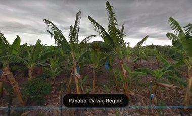 2-Hectare Industrial Land in Panabo City | IP 005
