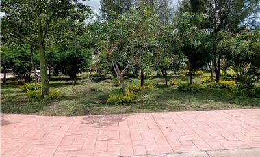 TERRENOS CAMPESTRES FRACC. VALLE DE LARA,  VALLE DE JUAREZ JALISCO