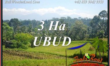 Strategis 3 Hektar Tanah View Cantik Pinggir Jalan