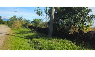 FINCA DE 439800 METROS EN EL FRANCES