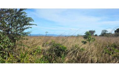 FINCA DE 439800 METROS EN EL FRANCES