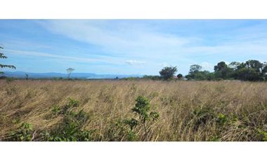 FINCA DE 439800 METROS EN EL FRANCES