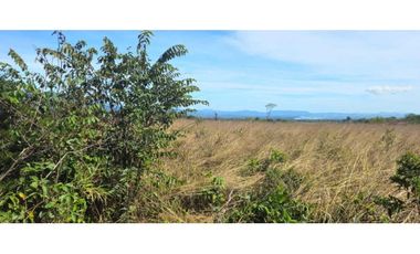 FINCA DE 439800 METROS EN EL FRANCES