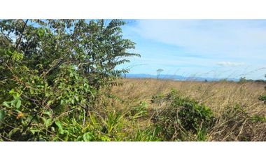 FINCA DE 439800 METROS EN EL FRANCES