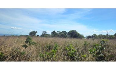 FINCA DE 439800 METROS EN EL FRANCES