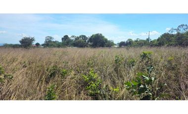 FINCA DE 439800 METROS EN EL FRANCES