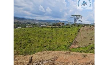 ref 881a las veraneras/lotes campestres en pavas