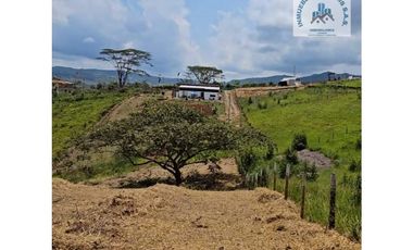 ref 881a las veraneras/lotes campestres en pavas