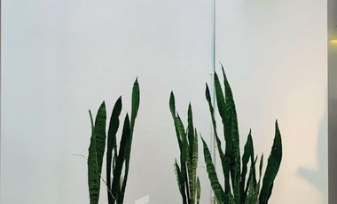 Se vende casa con 3 habitaciones en planta baja- Zona Monte Magno