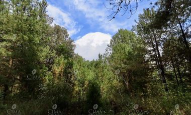 Casa de Campo en Venta, Huitzilac, Morelos -  V235