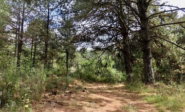 Casa de Campo en Venta, Huitzilac, Morelos -  V235