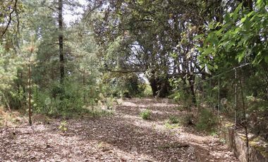 Casa de Campo en Venta, Huitzilac, Morelos -  V235