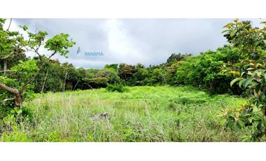 En venta terreno en Alto Boquete