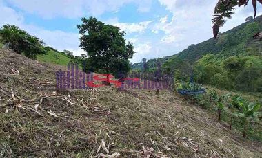 LOTE EN VENTA EN VARIANTE CONDINA/PEREIRA