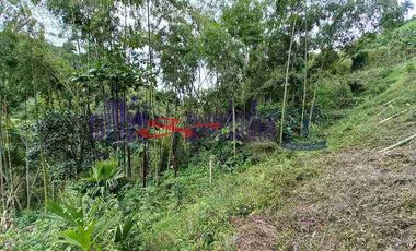 LOTE EN VENTA EN VARIANTE CONDINA/PEREIRA