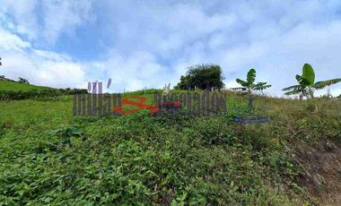 LOTE EN VENTA EN VARIANTE CONDINA/PEREIRA